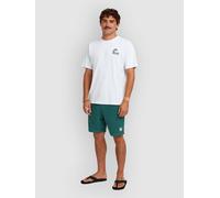 O'Neill O'Riginals Cord Shorts botanical heat Herren Gr. XL
