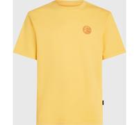 O'Neill O'riginals Vintage Graphic T-shirt golden haze (12022) M