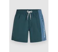 O'Neill Retro 14'' Boardshorts alma steel colour block Herren Gr. L