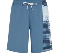 O'Neill O'neill Retro 19" Swimshorts blue melted texture (35173) M