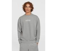 O´neill The Future Surf Society Sweatshirt M Silver Melee