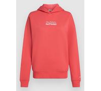 O´neill The Future Surf Society Kapuzenpullover