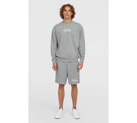O´neill The Future Surf Society Sportshorts XL Silver Melee