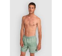 O'Neill Uni Flower 16" Boardshorts green tropical stripe Herren Gr. XXL