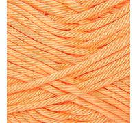 ONline Linie 341 Sandy Big-0003