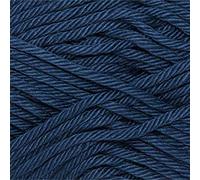 ONline Linie 341 Sandy Big-0005