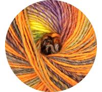 ONline - Linie 359 - Fano - Farbe 133