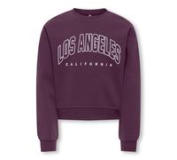 Only & Kids Kogsweat Life Ls Crew Ovz Stat SWT Noos