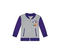 ONOMATO! Paw Patrol Skye & Everest Kinder Mädchen College Jacke, Süße Übergangsjacke für Kids, Offizielles Lizenzprodukt, Baumwolle & Reißverschluss, Lila & Grau, Größe 110-116