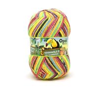 OPAL 6-Fach 150g Regenwald 19 - Die Urwaldschule 11344 - die Pausenaufsicht