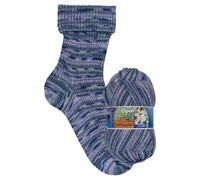 Opal Lieblingsplatz 4 Ply 11462 (Fb. 11462 Überall m. dabei)