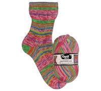 OPAL 4-Fach Hundertwasser 4051 - Brillen in kleinem Gesicht 563