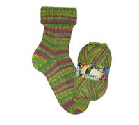 Opal Sockenwolle 4-fach Regenwald 22 - die Talentschmiede 11724 Dompteur des Waldes (1,87 € pro 100 m) Farbe:11724 Dompteur des Waldes