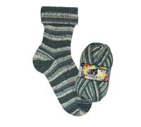 Opal Sockenwolle 4-fach Regenwald 22 - die Talentschmiede 11726 Tänzerin im Schnee (1,87 € pro 100 m) Farbe:11726 Tänzerin im Schnee
