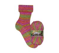 Opal Sockenwolle 4-fach Schafpate 18 - Waldspaziergang 11671 Pia (1,94 € pro 100 m) Farben:11671 Pia