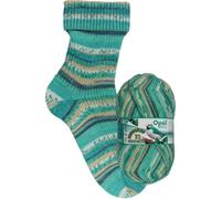 Opal Sockenwolle Regenwald 21, 75% Schurwolle/25% Polyamid, 4-fädig, 100g, 425m Lauflänge, Nadelstärke 2-3 (11600 Ahoi Seeleute)