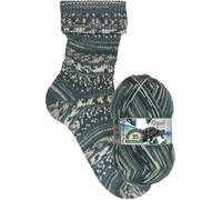 Opal Sockenwolle Regenwald 21, 75% Schurwolle/25% Polyamid, 4-fädig, 100g, 425m Lauflänge, Nadelstärke 2-3 (11604 Kapitän Schildi)