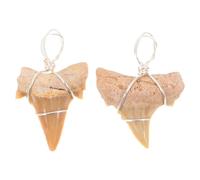 ORFOFE 2 Stück Teiliges Haifischzahn Anhänger für Herren Langlebiger Schmuckanhänger Handgefertigt Große Haizahn Halskette Charm Geeignet als Dekorativer Halsschmuck und DIY