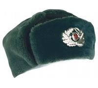 Original NVA-Offiziers-Wintermütze.