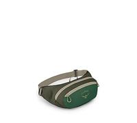 Osprey Daylite Waist Rucksack für Lifestyle, unisex Green Canopy/Green Creek O/S