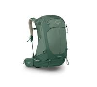 Osprey Men's Stratos 34 Pine Leaf Green OneSize