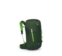 Osprey Jet Kinder-Wanderrucksack, 18L, Green Canopy/Limeline Green