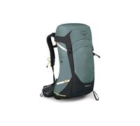 Osprey Women's Sirrus 26 Succulent Green not_defined