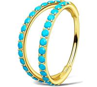 OUFER Body Piercing Nose Hoop Rings Hinged Clicker Segment Helix Hoop Ring 20G 316L Stainless Steel 6/7/8mm Nostril Conch Daith Helix Tragus Snug Rook Cartilage Piercings