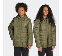 Outdoorjacke ADIDAS SPORTSWEAR "ESSENTIALS LIGHT PADDED KINDER", Jungen, Gr. 164, grün (olive strata, reflective silber), Obermaterial: 100% Polyester, normal, Jacken Outdoorjacke (30122834-164) olive