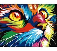 OWN4B Kreuzstich Stickpackungen Vorgedruckt, Bunte Katze Bilder 11CT 14,2x18,1 Zoll DIY Stickpackung Set