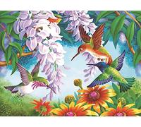 OWN4B Kreuzstich Stickpackungen Vorgedruckt, Kolibri und Blumen Bilder 11CT 14,2x18,1 Zoll DIY Stickpackung Set