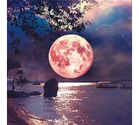 OWN4B Kreuzstich Stickpackungen Vorgedruckt, Mond Nacht Baum Bilder 11CT 14,2x14,2 Zoll DIY Stickpackung Set