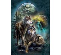 OWN4B Kreuzstich Stickpackungen Vorgedruckt, Wolf Mondnacht Bilder 11CT 14,2x18,1 Zoll DIY Stickpackung Set