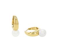 amor Creolen Gold Damen