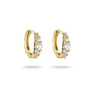 Paar Creolen THOMAS SABO "gelbgoldfarben mit Zirkonia", gold (gelbgoldfarben, weiß, weiß), Ohrringe, Damen, Metall, mit Zirkonia (synth.) (74300733-0) gelbgoldfarben, weiß, weiß