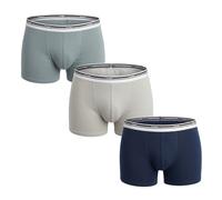 Pack 3 Herren Boxer Baumwolle Farben D306XP L