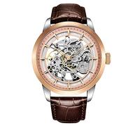 Pagani Design PD-1638 Skelettierte Automatik Herrenuhr, Edelstahl Automatik Herrenuhr, 43mm Durchmesser, Lederarmband, Zeigersammlung, Wasserdicht bis 100 Meter
