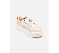 Palladium - PALLASPHALT LO - Mehrfarbig - Sneaker - Größe 36