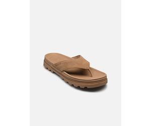 Palladium - Zehensandalen Dunelite Azur Sde - braun - Größe 42