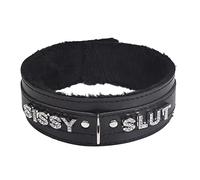 paloli Rosa Choker Halskette für Frauen Leder Choker Halskette Fluffy Punk Leash Gothic Cosplay Sexy Schmuck