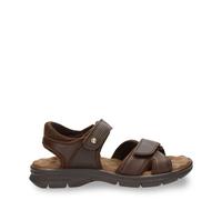 Panama Jack Sanders Sandalen braun - 46