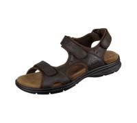 Panama Jack Salton Basics C1 Brown Braun 43