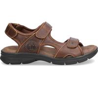 Panama Jack Salton Basics, Herren Peeptoe Sandalen, Braun (Cuero C4), 41 EU (7 UK)
