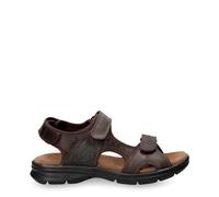 Panama Jack Salton Basics Sandalen dunkelbraun - 44
