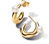 Pandora Creolen - 263261C01 gold