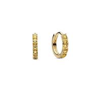 Pandora 263849C01 abrazo Reif Ohrringe
