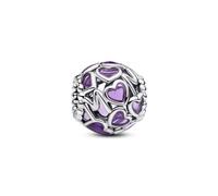 Pandora Charm Moments 793772C01