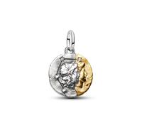 Pandora Bead - Charm, SI and 14k Gold-plated Wassermann