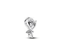 Pandora Charm - 794488C00 silber