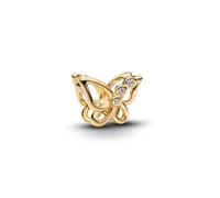 Pandora Charm Moments 764369C01